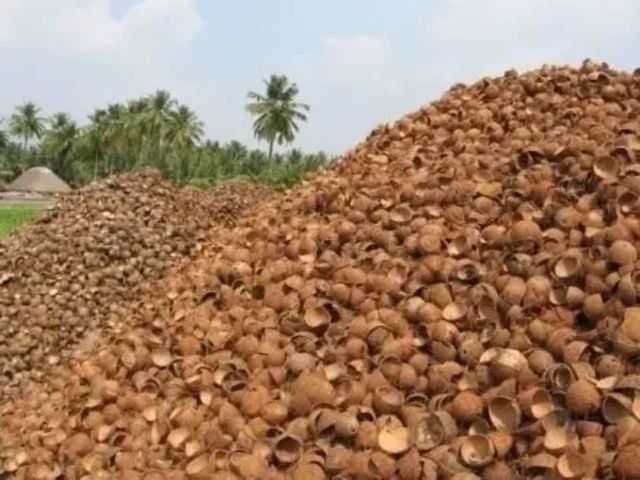 Premium Quality Coconut Shells Ready for Fast Delivery! Best Wholesale Price on Agricultural Waste - Image 5