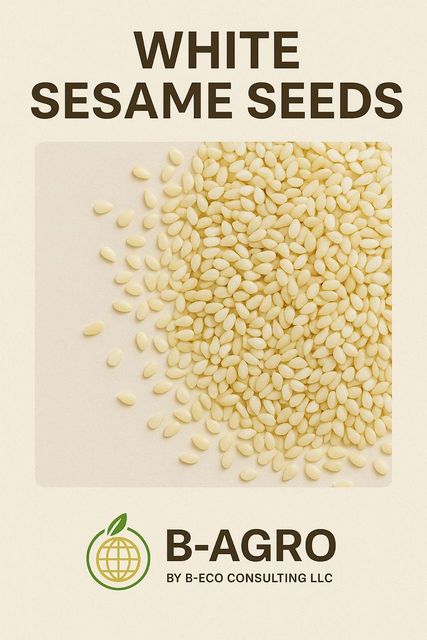 White Sesame Seed Grade - Image 2