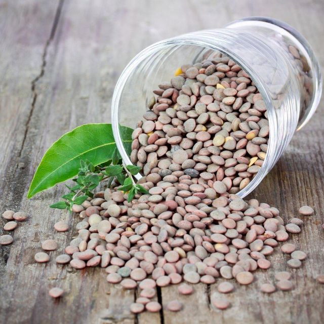 Fresh Brown Lentils Packed With Care Brown Lentils Ensuring Top Quality And Optimal Nutrition For Global Traders - Image 2