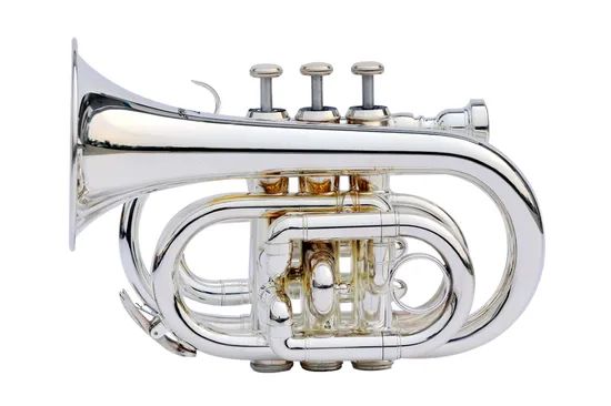 Pocket Trumpet / Bb Trumpet / Trumpet Age Adults Brand Forest Origin China Color Silver Trademark OEM Certification SGS HS Code - Image 5