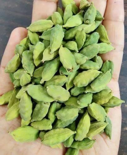 Premium Wholesale Green Cardamom Pods Supplier – High Quality Natural Aromatic Green Elaichi for Cooking, Baking, Tea, Spice Blends, Food Processing, Export Grade Handpicked Fresh Cardamom with Rich Flavor, Strong Aroma, Long Shelf Life, Bulk Packaging and Global Delivery Services - Image 2