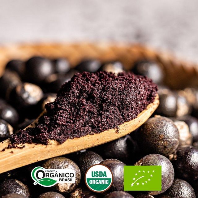 Freeze-Dried Açaí Powder from Brazil for Food, Beverage and Nutritional - Image 3