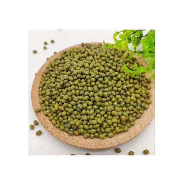 organic green mung beans for sprouting cooking dal curry soup and healthy recipes natural whole beans packed with plant based protein fiber iron and antioxidants ideal for vegetarian diets and nutritious food preparation - Image 4