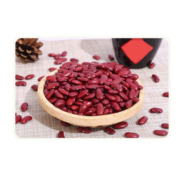 Bulk red beans supply for wholesalers supermarkets and food industries Red beans rich in protein fiber and essential nutrients for healthy diet Cleaned and sorted red beans with uniform size and quality grading Red beans for making chili dishes rice meals and bean recipes - Image 1