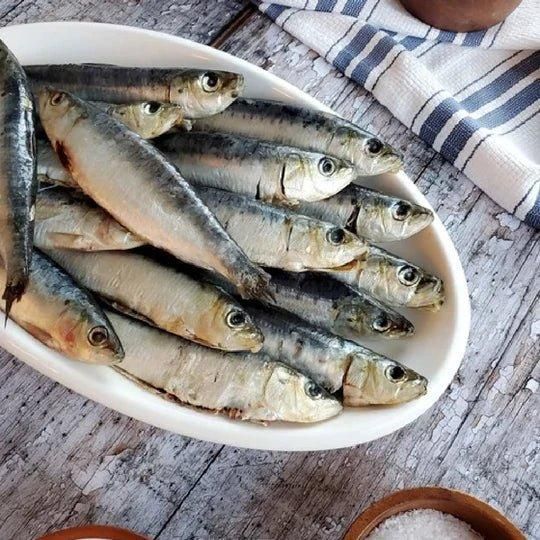 Frozen Sardine / Fresh Sardine Type Fish Flavor Rich Texture Fresh Appearance Frozen Fish Omega 3 Fatty Acid Content High - Image 4