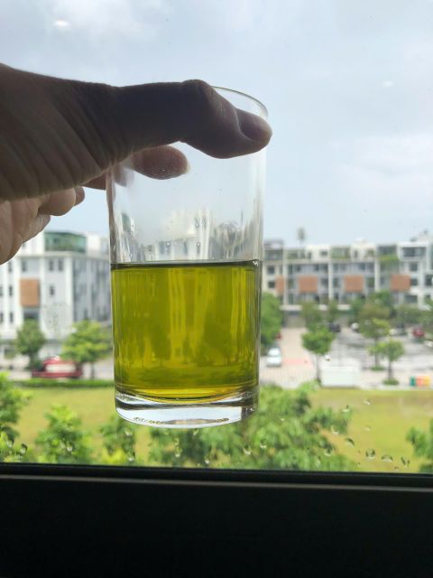 VIETNAM SUPER PEKOE GREEN TEA LOOSE LEAF BRIGHT GREEN COLOR GOOD PRICE - Image 4