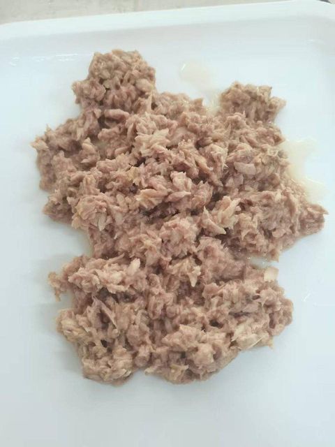 Canned Light Tuna Flake in Oil 140g (10oz) - Image 1