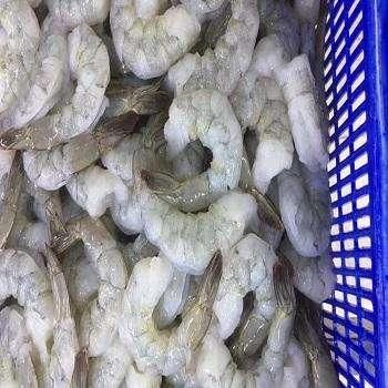Frozen Prawns Tail Freshly Processed Ocean Harvest With Rich Texture For Foodservice Import Supply And Export Demand - Image 3