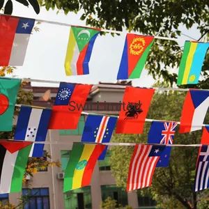 Polyester Decorative National String Bunting Flags Custom Banner - Image 3