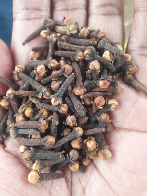 Cloves - Image 2