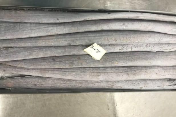 Premium Frozen Ribbonfish HGT Cut HGT Form HGT Origin Senegal Packaging 10kg net Freshness Level Frozen Place of Origin Sengal, dakar - Image 3