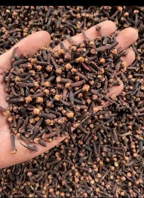 Premium Indonesian Cloves - Image 4