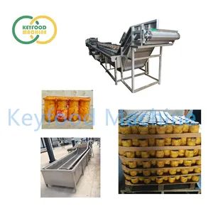 Automatic Canned Yellow Peach Orange Fruit Production Line - Image 1