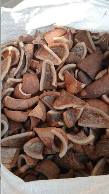 Indonesian Dried Copra – Coconut Kernel for Coconut Oil Extraction | Bulk Export Supplier – product photo 3, product detail gallery
