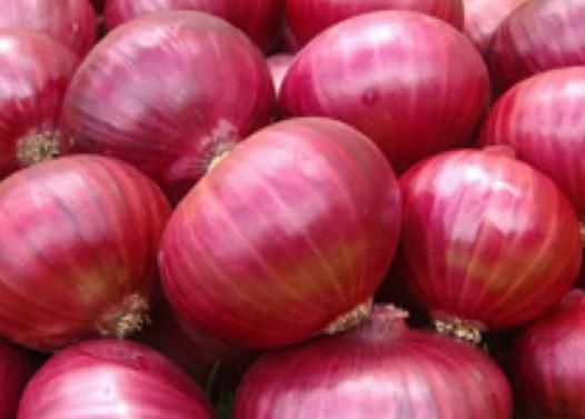 Fruits and vegetables - Image 1
