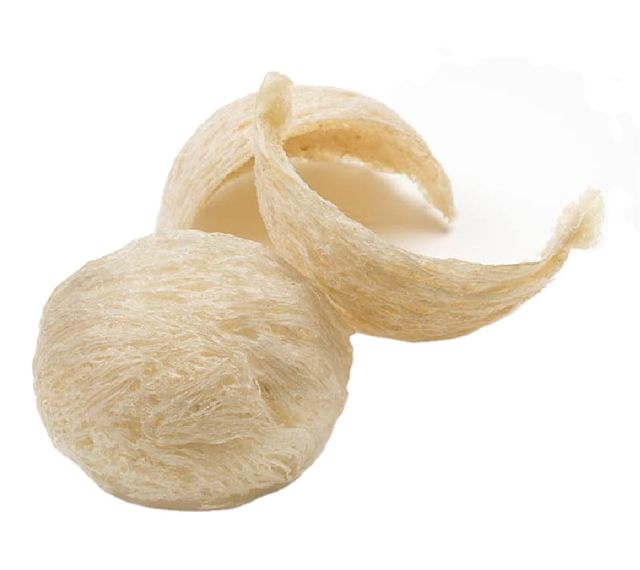 Raw Edible Bird's Nest Pure Bird Nests Swallow bird nests for wholesaler importer - Image 1