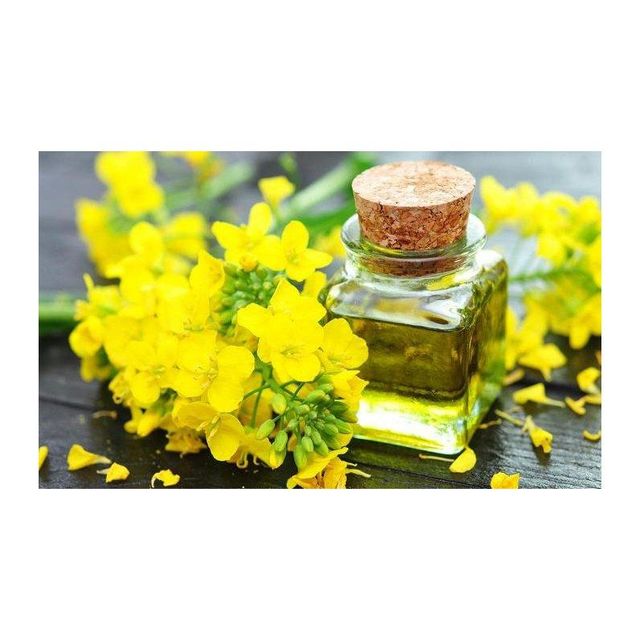 Pure canola oil offered for sale in bulk with rich flavor and light color - Image 4