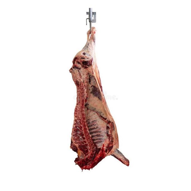 Fast delivery frozen pork carcass for bulk purchasing export trade and commercial supply - Image 3