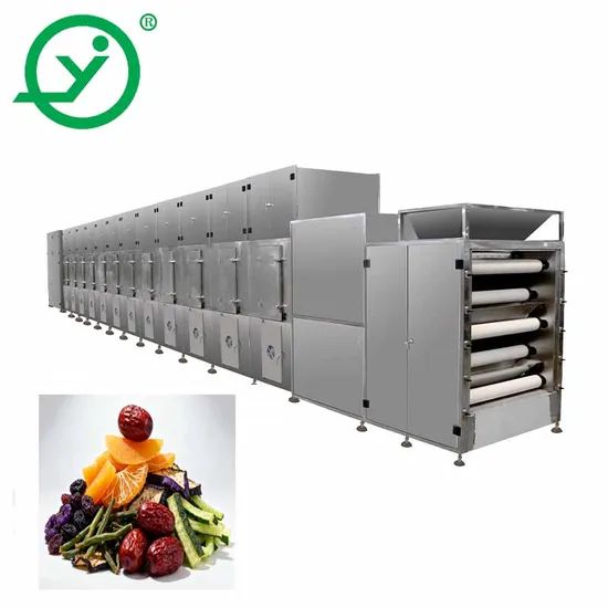Fruit Vegetable Processing Machine Tunnel Drying Oven Vegetable Dryer Drying Machine - Image 1