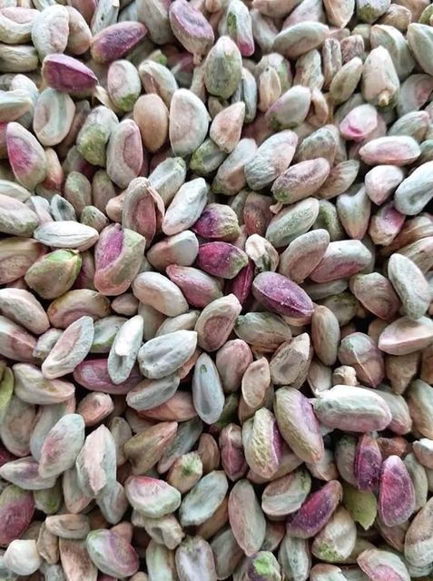 Pistachio kernel - Image 1