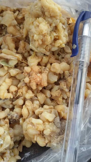 Asafoetda, Tragacanth, Anzaroot, Gum Resin Origin Asia, Iran Features gum resin Product Type Mastic, Spices, Seasonings & Flavors - Image 4