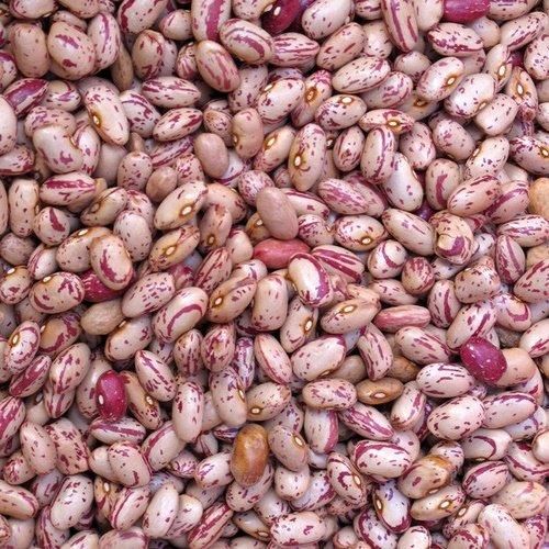 Speckled Kidney Beans, Red Kidney Beans For Export - Image 2
