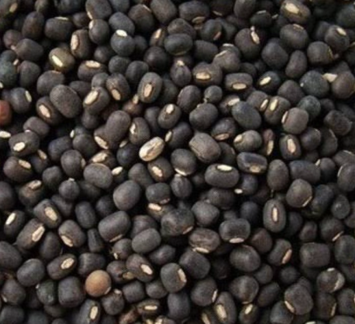 Organic split black urad dal - Image 2