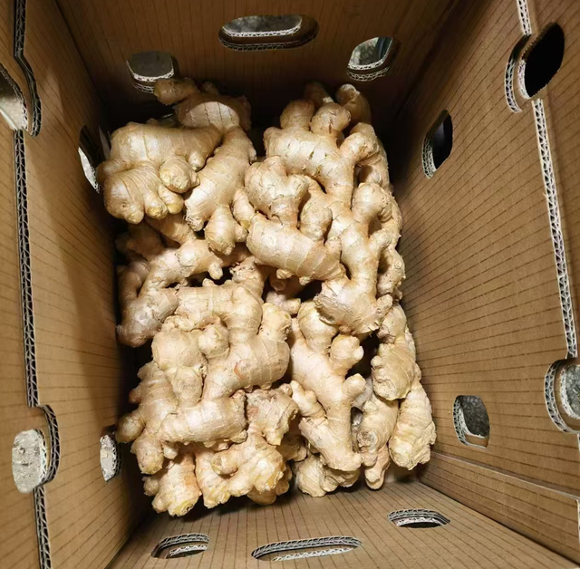 2025 New Fresh Air Dried Ginger Wholesale From Chinese Fresh Ginger Root Market Suppliers Low Price - Image 5