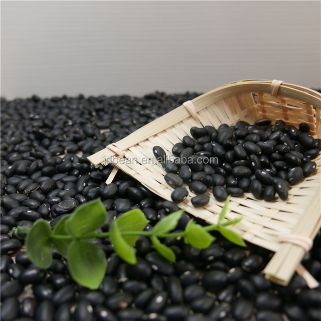 Wholesale Dried Organic 500 550 Small Black Beans Black Kidney Beans - Image 5