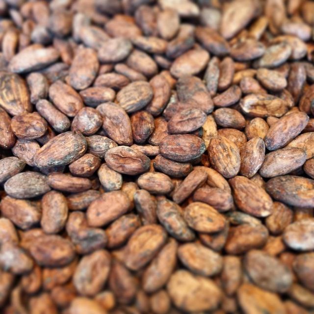 Raw Cocoa bean offered at factory price Cocoa bean from trusted farms ensuring rich taste and aroma - Image 2