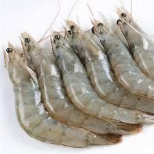 Black Tiger Shrimp / Black Tiger Prawn - Image 4
