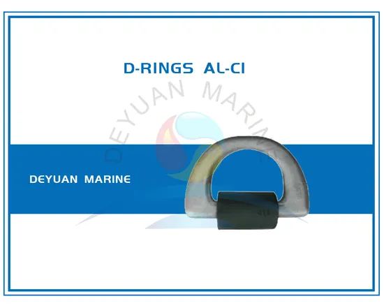 Container D-Ring Container Fixed Fittings - Image 1