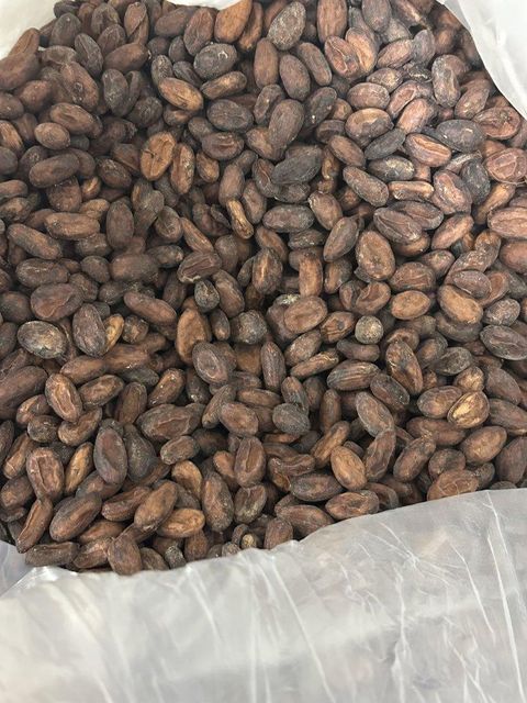 Cocoa Beans – product photo 1, product detail gallery