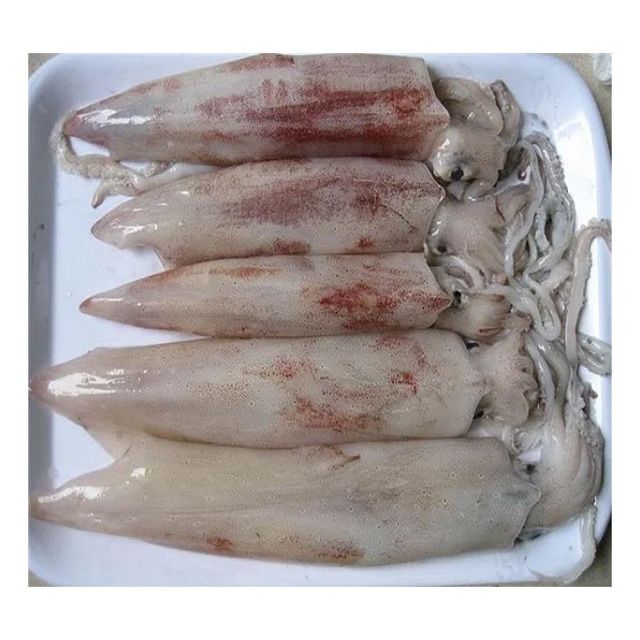 Frozen Squid Tubes Prepared For Hospitality Kitchens Seafood Distributors And International Food Ingredient Supply - Image 3