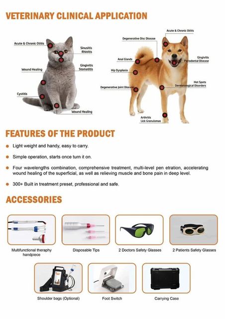 A R PHOTONICS Veterinary Diode Laser Systems (15 Watt) Voltage 15 watt Laser Type Diode Brand A R PHOTONICS Laser Technology - Image 3