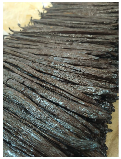 Vanilla Beans - Image 3
