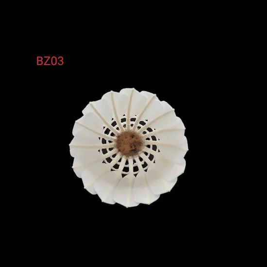High Quality Goose Feather Badminton Shuttlecock OEM Accept Trademark BZ Model NO. BZ01 Speed 75,76,77,78 Type - Image 5