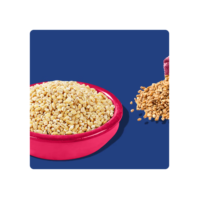Golden Fields Top-Quality Whole Wheat Grains Perfect for Healthy Living Premium Quality Whole Wheat Grains - Image 6