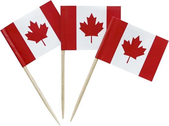 Toothpick Flags Cocktail Picks Mini Stick Cupcake Toppers Country Picks Party Decoration - Image 6
