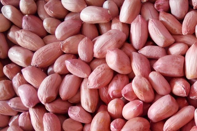 Groundnut Form Whole Origin India Organic natural Degree of Processing Natural - Image 4