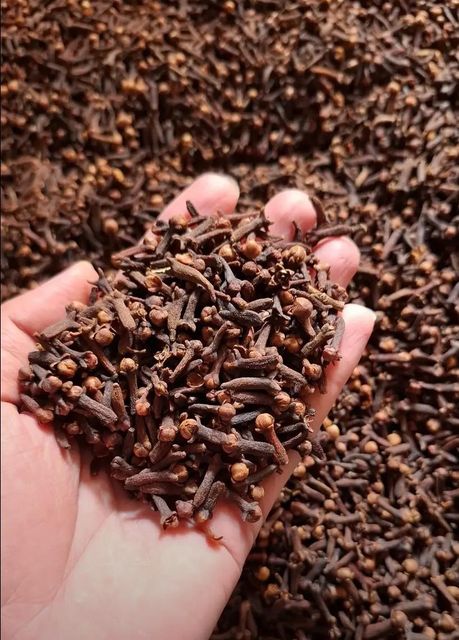 Cloves - Image 1