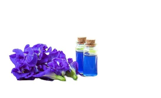 Instant Butterfly Pea Flower Powder - Image 4