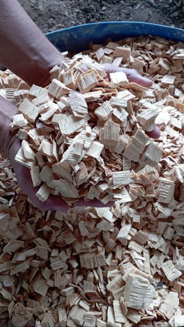 Hardwood chip acacia & eucalyptus Moq 25000 Mt Origin Indonesia, Brazil Condition Well Sorted, Clean, And Dry Monthly Supply Capacity 600000 Mt Or More - Image 1