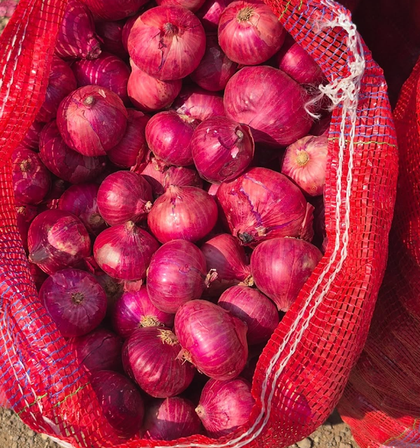 Long Shelf Life And Excellent Storage Characteristics Fresh Red Onions 10kg Export Bags On Sale - Image 3