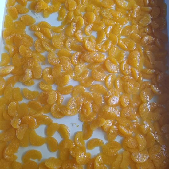 Refreshing Frozen Orange Segments for Yogurt and Ice Cream Topping - Image 6