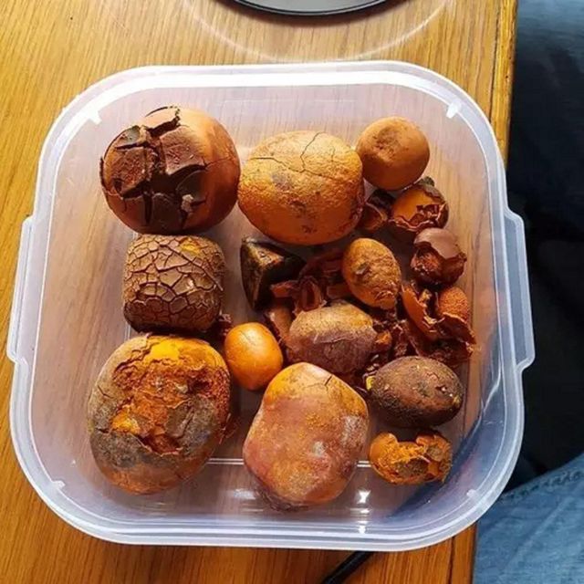 Hot Sale Cow Ox Gallstone Natural Dried Bovine Gallstone Premium Quality for Herbal Medicine and Pharmaceutical Industry - Image 4