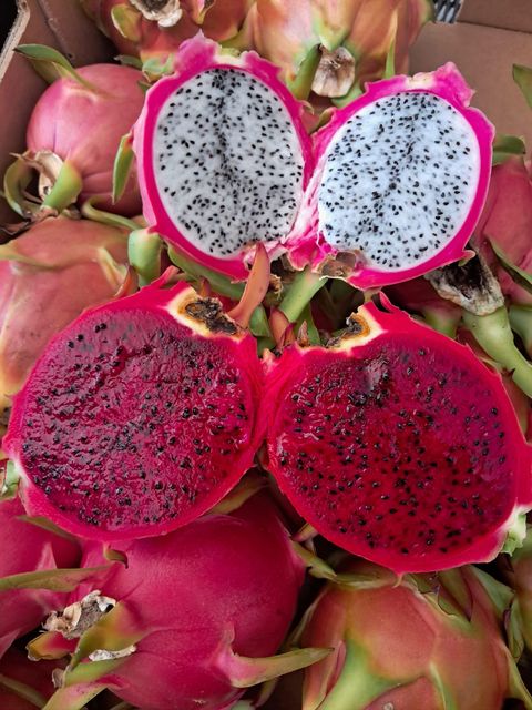 Fresh dragon fruit - Image 3