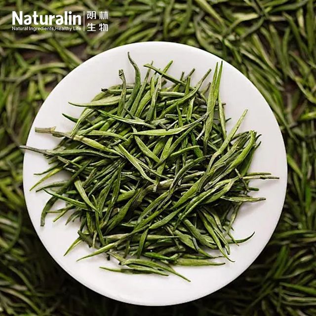 Green Tea Extract - Image 4