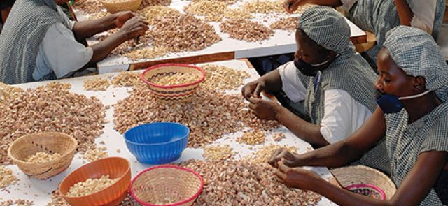 Premium Cashew Kernels (Grades WW320 / WW240) Whole Cashew Kernels – Export Quality Hand-selected Premium Cashew Nuts from Burkina Faso - Image 3