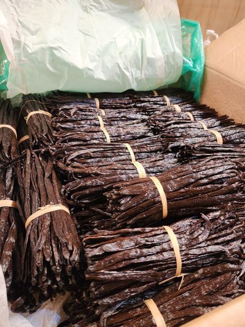 Vanilla Grade A Plantifolia - Image 1